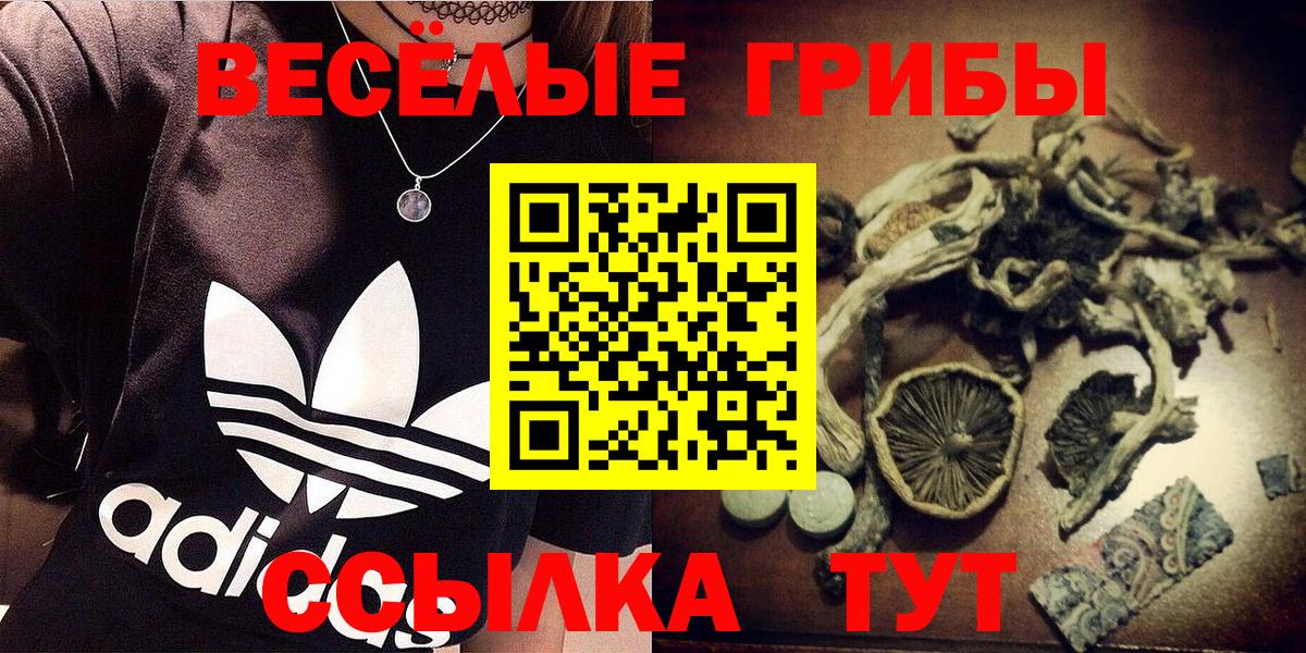 A PVP Магадан
